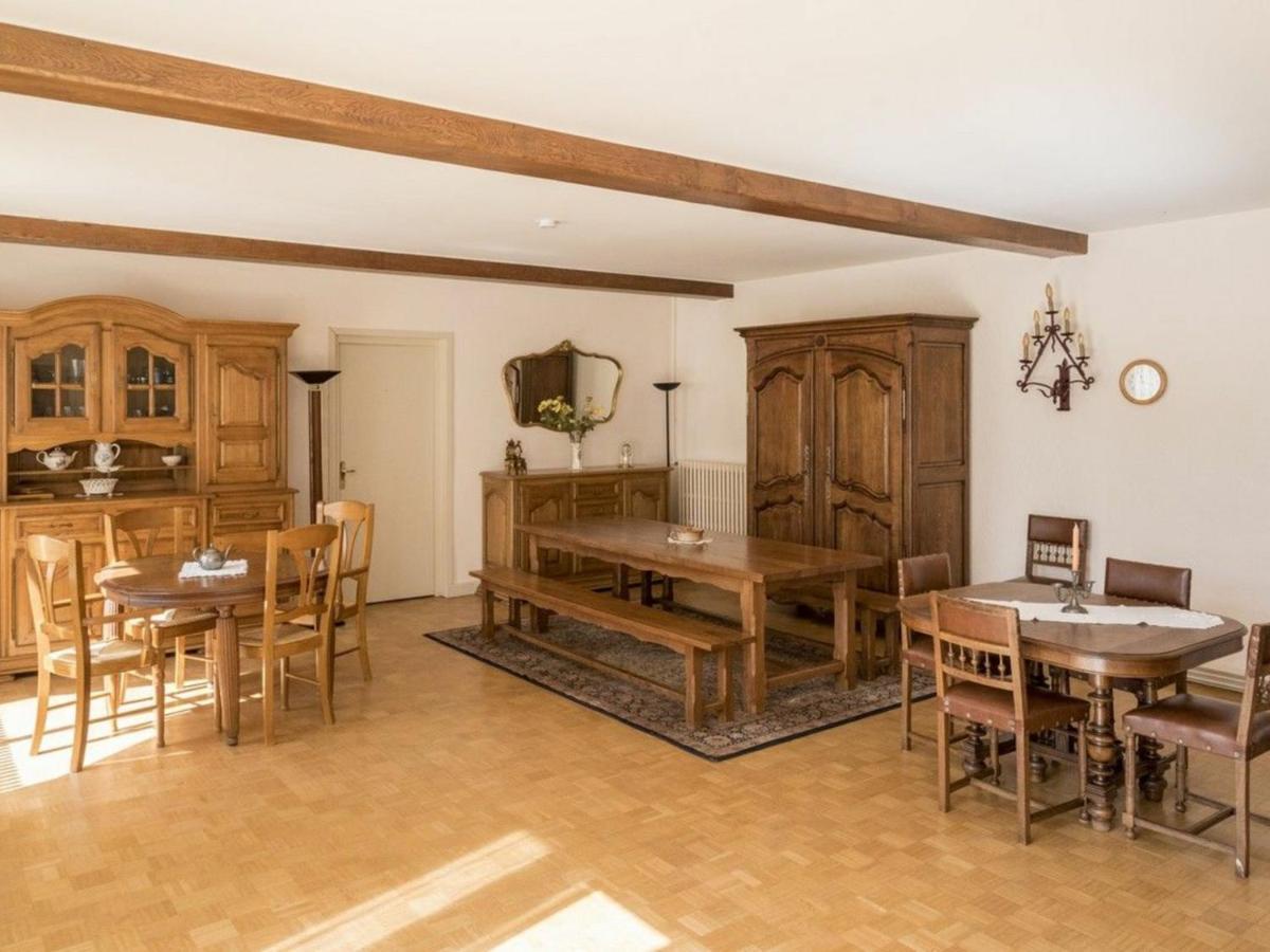 Pour 12 Face Au Chateau De Avec Jardin, Cheminee Et Equipements Pmr - Fr-1-585-38 Holiday home *